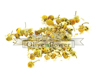 Chamomile dried
