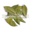 leaves Laurel dried