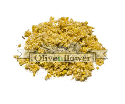 Helicrysum Italicum dried