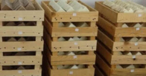 ιστορία του σαπουνιού, από την αρχαιότητα μέχρι σήμερα. 2024