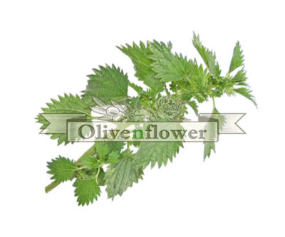 NETTLE