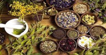 Διουρητικό Μείγμα Βοτάνων Η Φυσική Λύση για Αποτοξίνωση και Υγεία