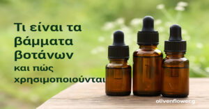 Τι είναι τα Βάμματα Βοτάνων και Πώς Χρησιμοποιούνται